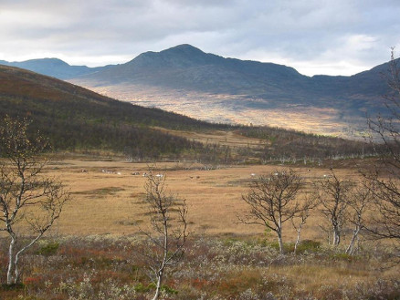 Grytdalen i all sin prakt. Foto Grytdalen hytteeierforening.