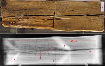 Klikk for stort bilde. Røntgenbilde av brunråte, identifisert på grunnlag av råteklossenes (de vertikale krakeleringene/sprekkene) innbyrdes avstand. Råteangrepet var ikke synlig på overflaten av materialprøven. (Foto: NIKU)