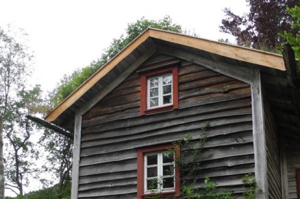 Kledningen gråner med noen nyanser, men står godt mot fuktigheten. Enkelte hjørnebord, vindskier og takrenner som er i direkte kontakt med torv på taket, er det eneste som er råteskadet etter ti år. 